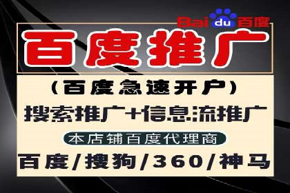 案例分享：SEM广告投放助力电商增长